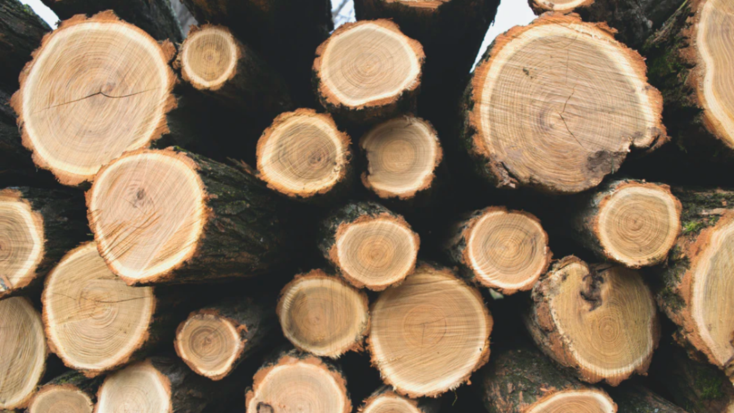bomen